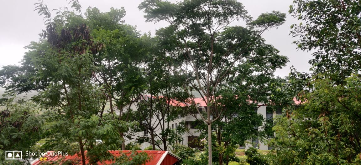 Sri Krishna Adithya College of Arts and Science Coimbatore Campus Photos photo 1